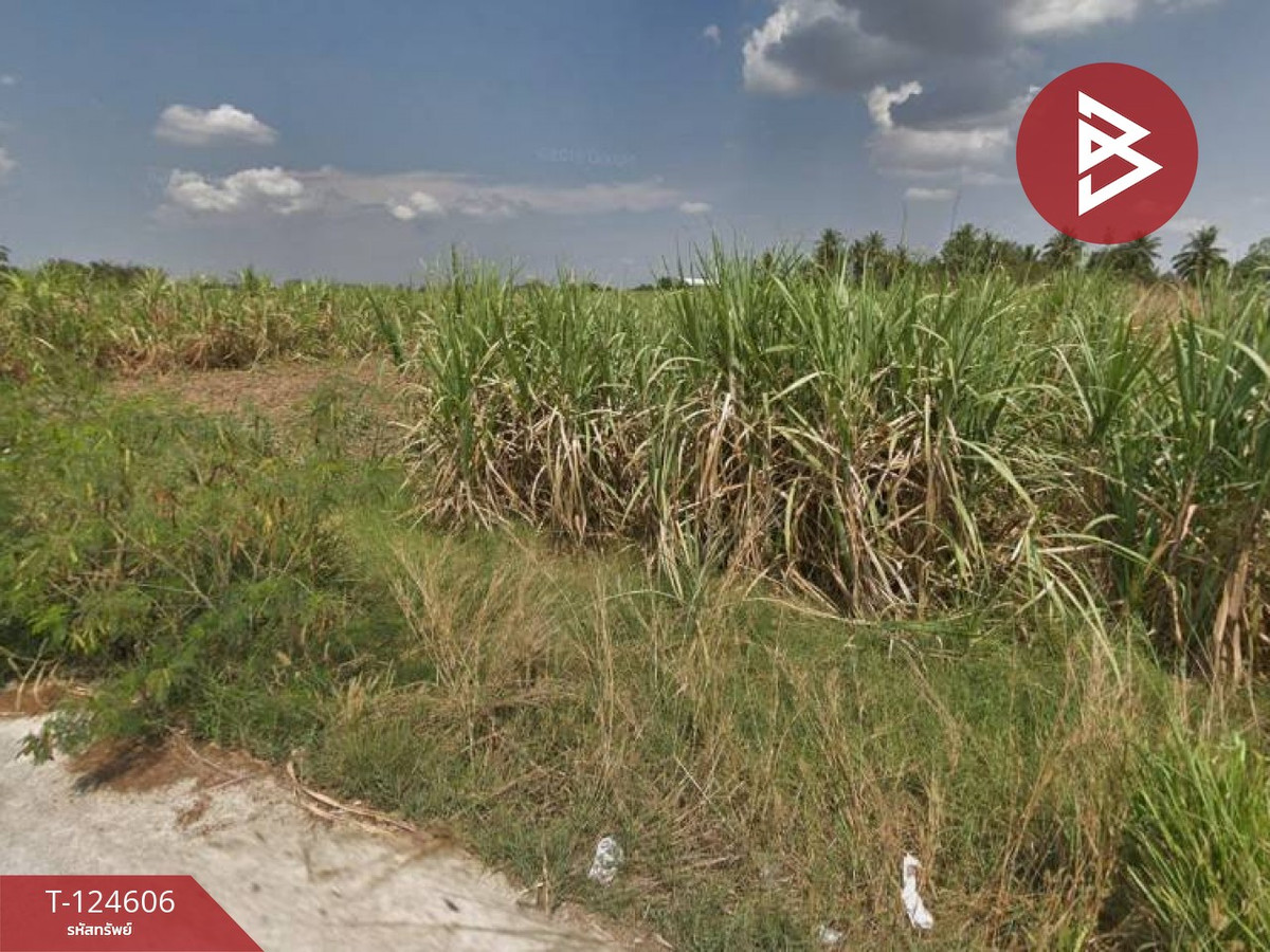 For SaleLandPattaya, Bangsaen, Chonburi : Land for sale, area 2 rai 2 sq m, Nong Hong Subdistrict, Phan Thong District, Chonburi Province.