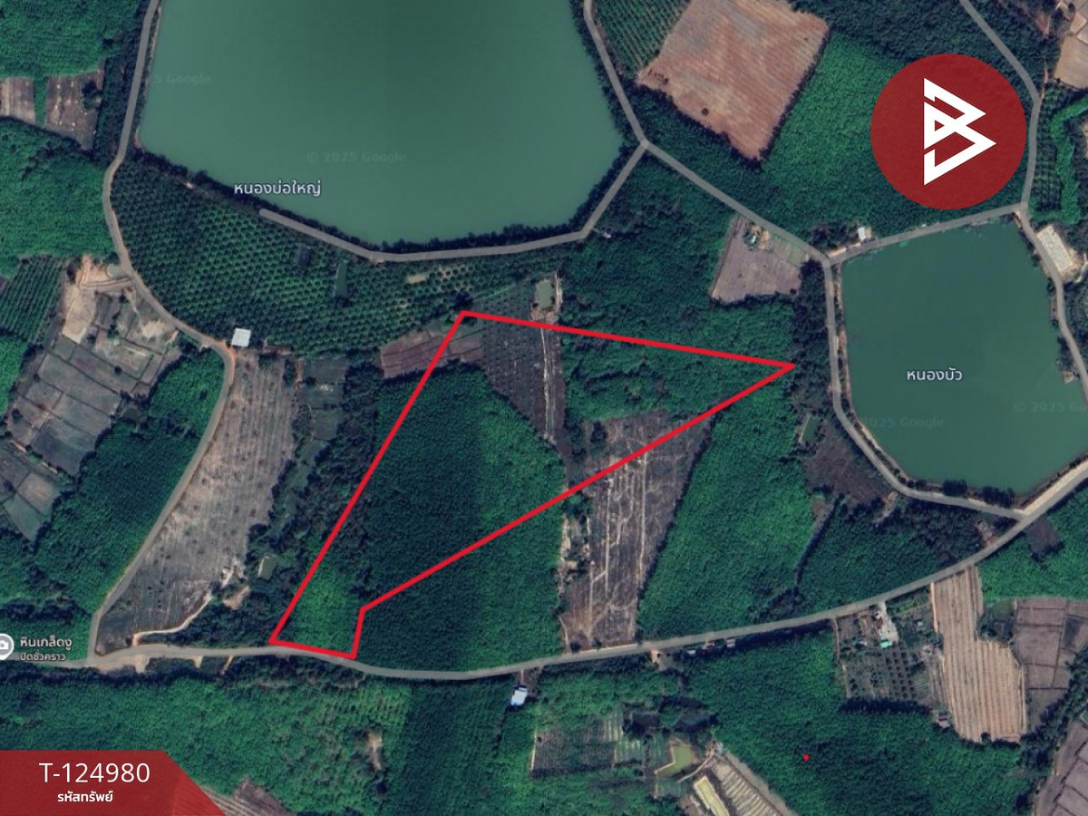 Land for sale with palm plantation, area 19 rai 1 ngan, Nong Kheng, Bueng Kan. Loading...