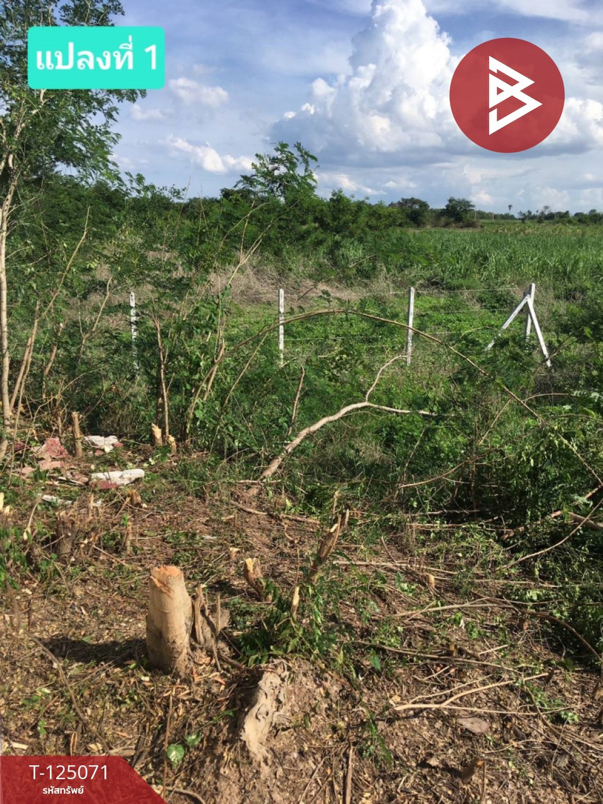 Land for sale, area 2 rai 72.9 sq m, Ban Pong, Ratchaburi. Loading...