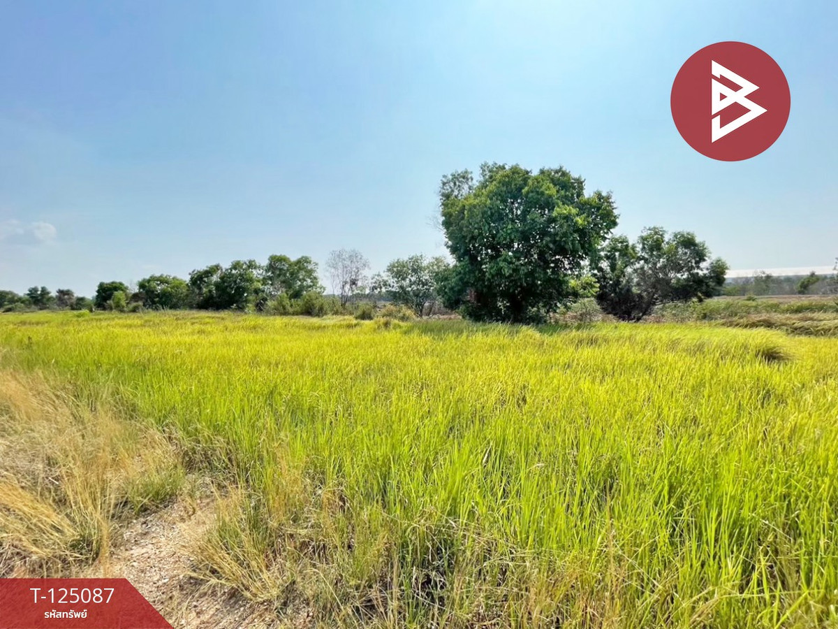 Urgent sale of land, area 1 rai, Bang Nam Priao, Chachoengsao, good atmosphere. Loading...
