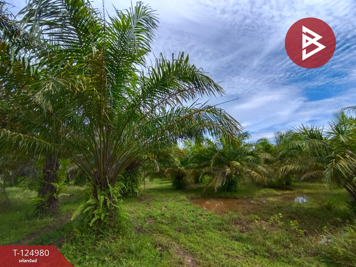 Land for sale with palm plantation, area 19 rai 1 ngan, Nong Kheng, Bueng Kan. Loading...