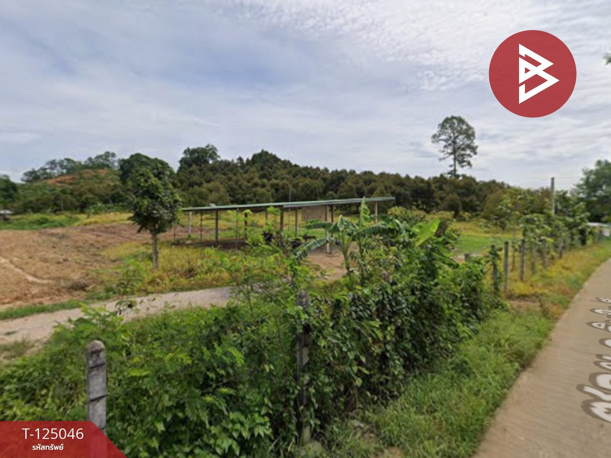 ขายด่วนที่ดินสวนทุเรียน เนื้อที่ 36 ไร่ 2 งาน 62 ตารางวา ลับแล อุตรดิตถ์ Loading...