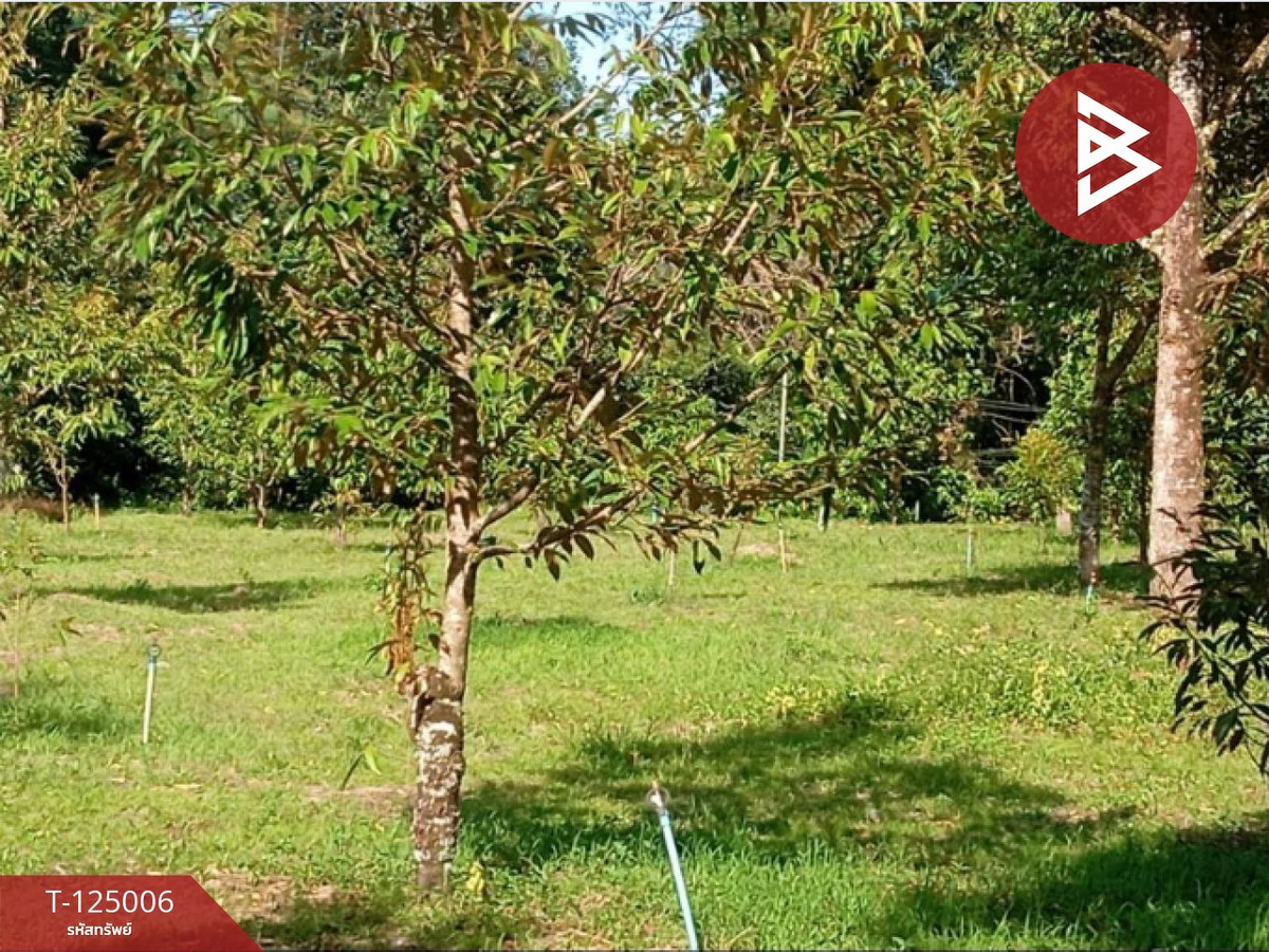 Land for sale with buildings, area 2 rai 3 ngan 21.9 sq m, Makham, Chanthaburi. Loading...