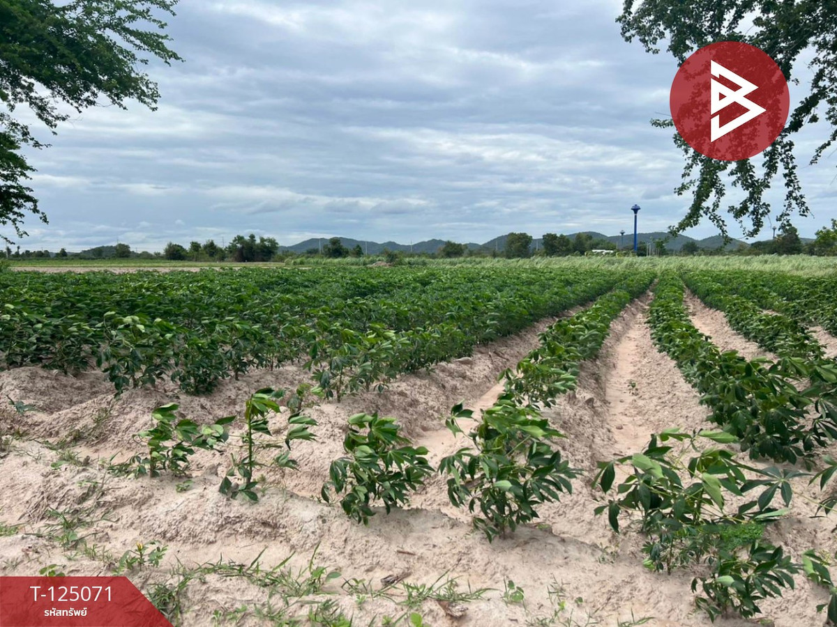 For SaleLandRatchaburi : Land for sale, area 2 rai 72.9 sq m, Ban Pong, Ratchaburi.