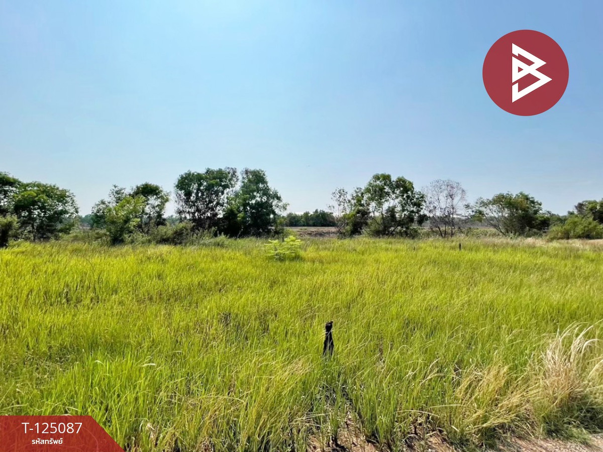 Urgent sale of land, area 1 rai, Bang Nam Priao, Chachoengsao, good atmosphere. Loading...