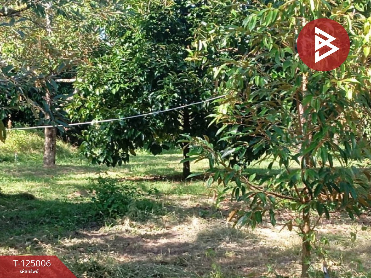 Land for sale with buildings, area 2 rai 3 ngan 21.9 sq m, Makham, Chanthaburi. Loading...