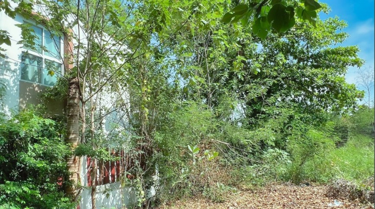 ขายที่ดินสระบุรี : ขายที่ดิน แก่งคอย สระบุรี 1 ไร่ ถมแล้ว ในโครงการแมกไม้-ชายน้ำ ไม่มีค่าส่วนกลาง เหมาะสร้างบ้าน