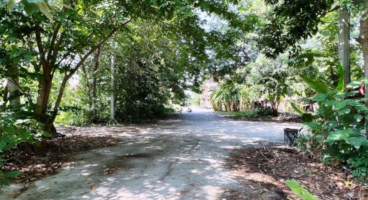 ขายที่ดินสระบุรี : ขายที่ดิน แก่งคอย สระบุรี 1 ไร่ ถมแล้ว ในโครงการแมกไม้-ชายน้ำ ไม่มีค่าส่วนกลาง เหมาะสร้างบ้าน