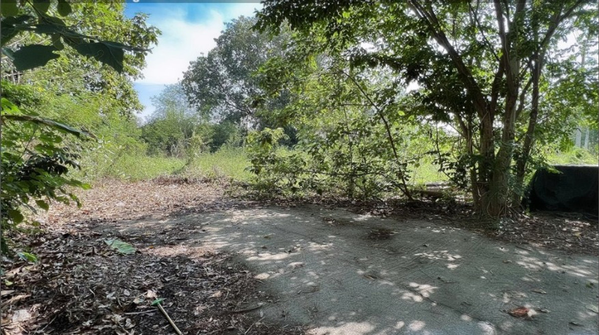 ขายที่ดินสระบุรี : ขายที่ดิน แก่งคอย สระบุรี 1 ไร่ ถมแล้ว ในโครงการแมกไม้-ชายน้ำ ไม่มีค่าส่วนกลาง เหมาะสร้างบ้าน