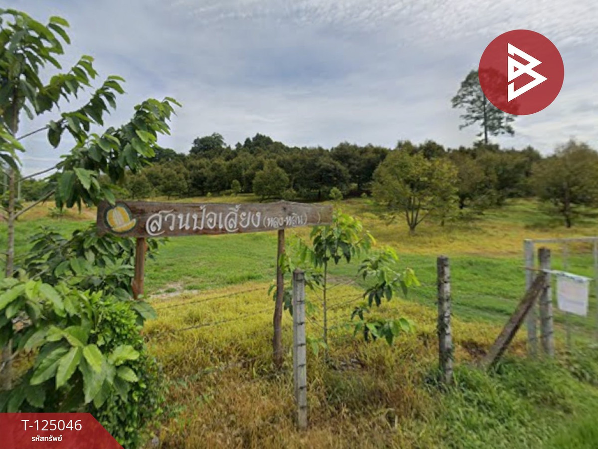 ขายด่วนที่ดินสวนทุเรียน เนื้อที่ 36 ไร่ 2 งาน 62 ตารางวา ลับแล อุตรดิตถ์ Loading...