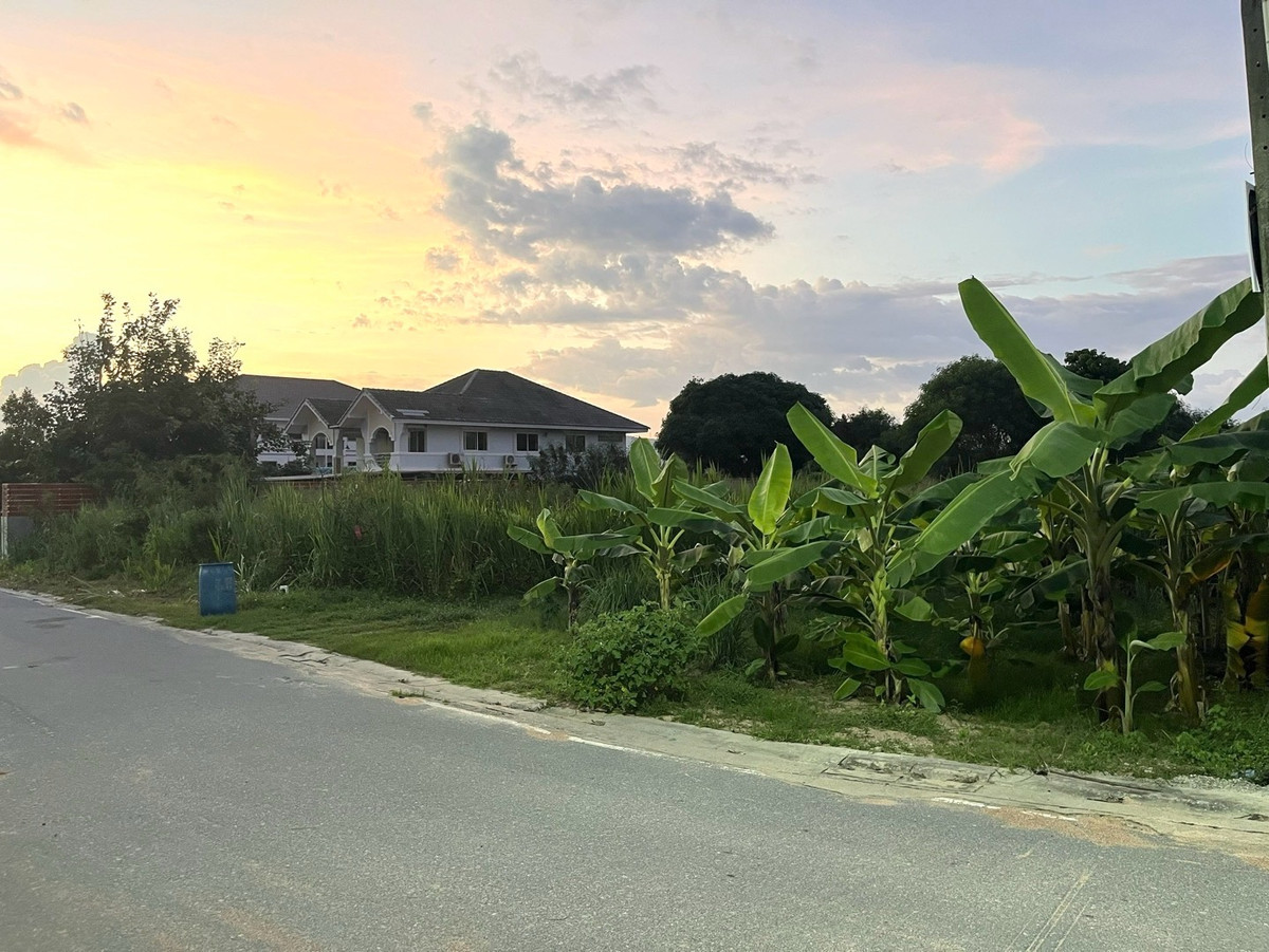 ขายที่ดินระยอง : ขายที่ดิน บ้านฉาง ระยอง 1 ไร่