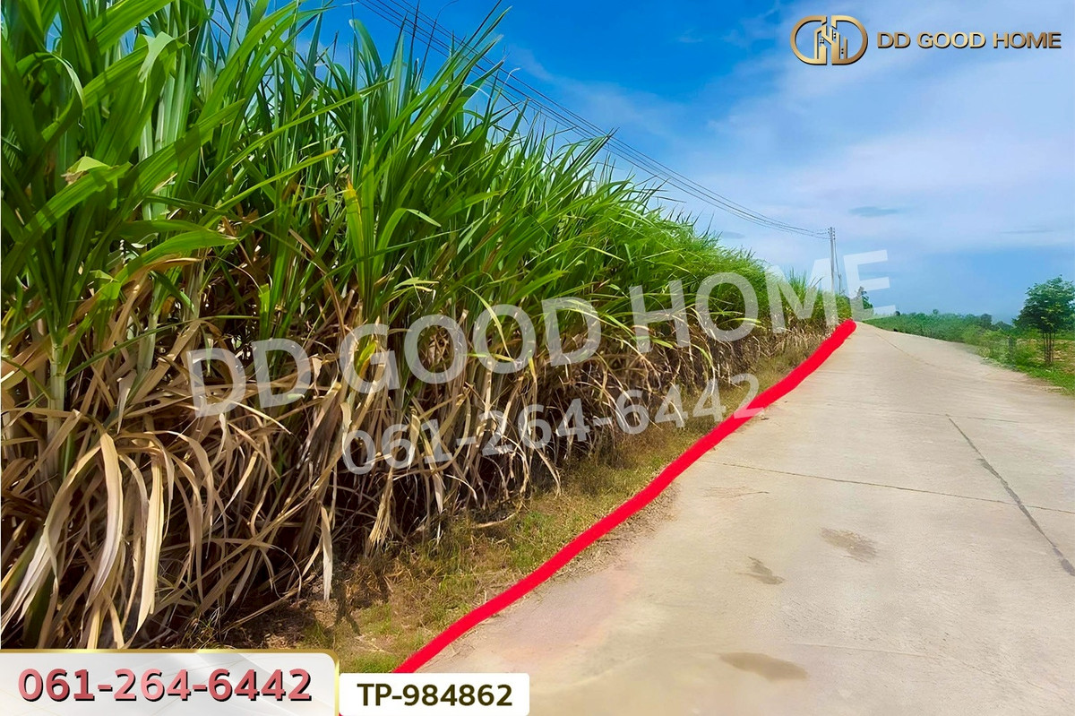 ขายที่ดินกาญจนบุรี : LU-984862 ที่ดินท่าม่วง 22 ไร่ 14 ตร.ว. กาญจนบุรี ใกล้โรงพยาบาลส่งเสริมสุขภาพตำบลนพกิจโกศล