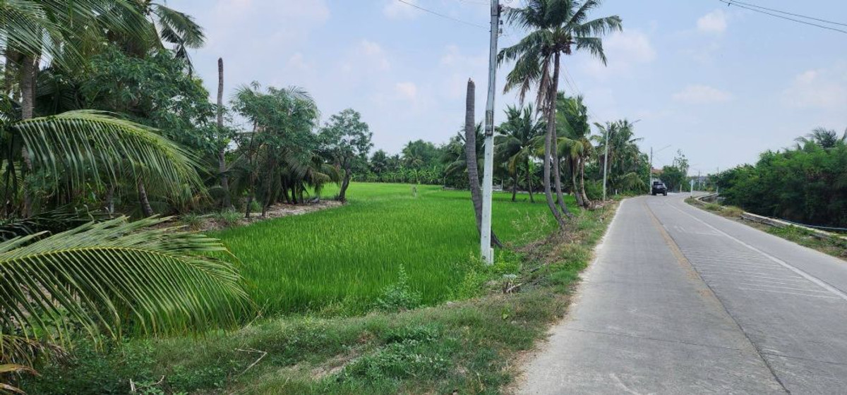 ขายที่ดินนครปฐม : ขายที่ดินทำเลศักยภาพ พุทธมณฑลสาย 5 สามพราน นครปฐม 1-0-47 ไร่