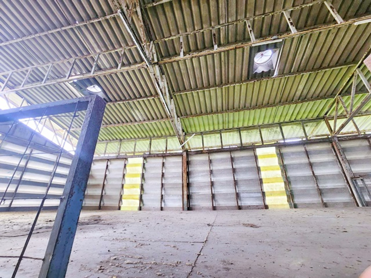 เข้าได้รถบรรทุกใหญ่ 40 ฟุต หนองจอก ให้เช่าโกดัง2ชั้น พร้อมสำนักงาน2ชั้น เกือบ 1ไร่ 372ตร.วา ห้องพักพนักงาน 6ห้อง Loading...