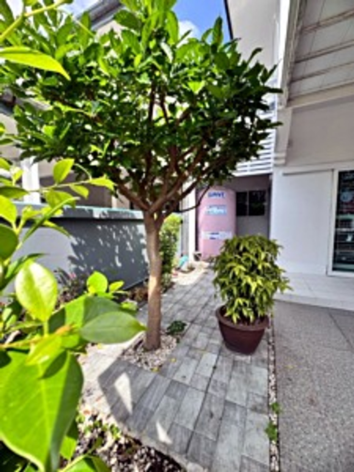 ขายบ้านปทุมธานี รังสิต ธรรมศาสตร์ : ขายบ้านเดี่ยว หมู่บ้าน บ้านฟ้าลากูน คลอง 2 ต่อเติมเต็มพื้นที่ (N.1909)