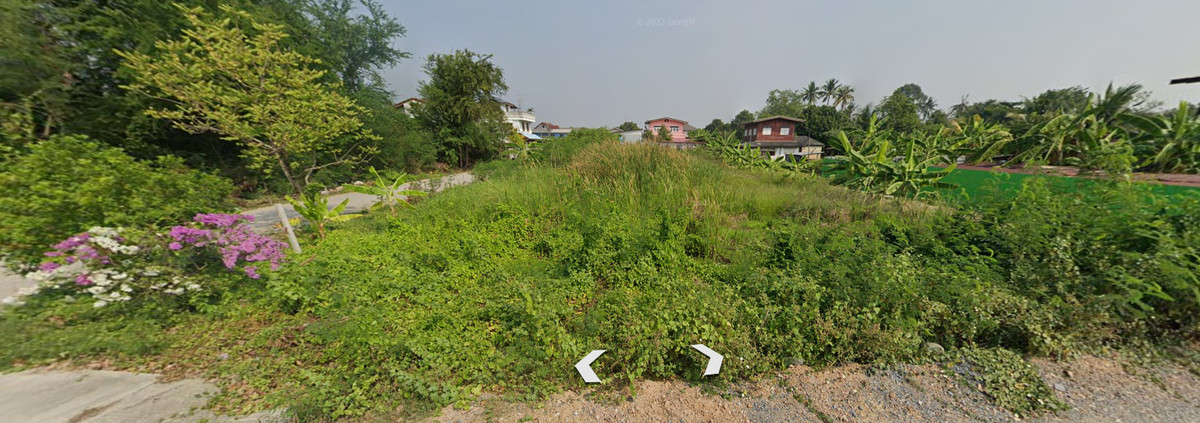 ที่ดินซอยเพชรเกษม 88 แปลงสวยหน้ากว้าง 350 ตร.ว.  7นาทีถึง เดอะมอลล์บางแค Loading...
