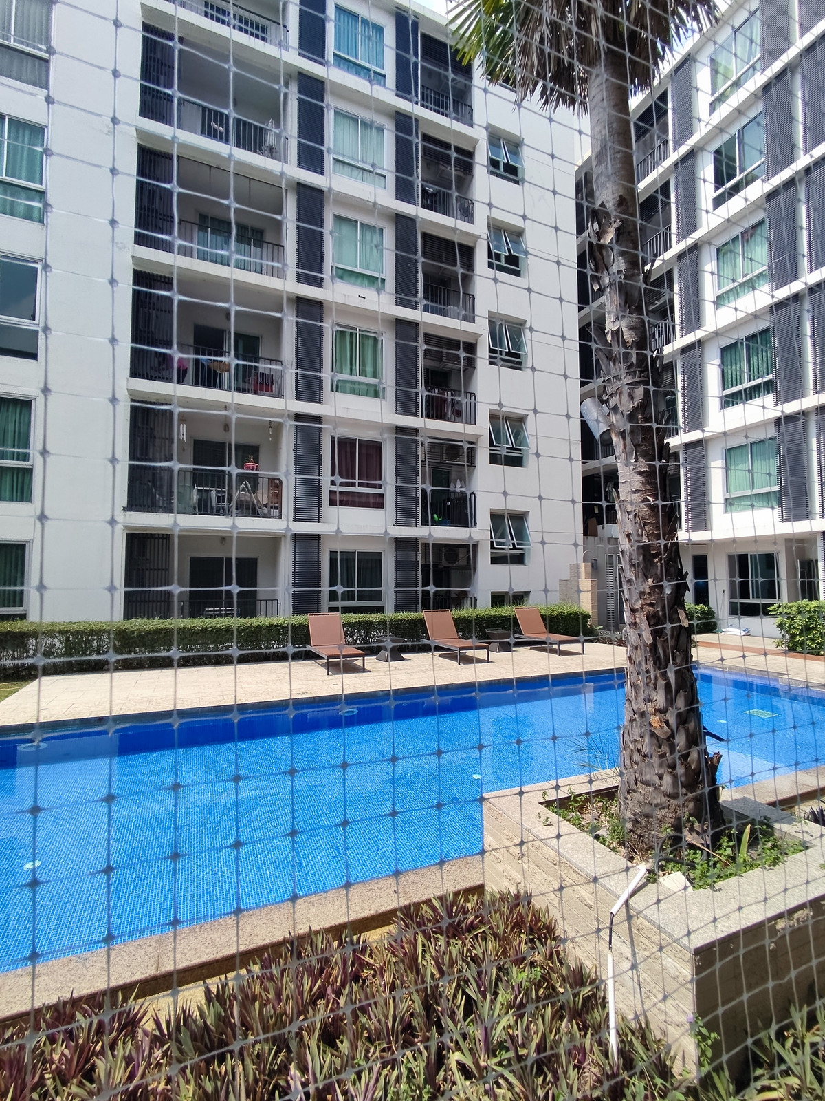 🚝Near the BTS 👜 and shopping areas 🏪Near Central Chaengwattana ☘️Large room 💦next to the swimming pool Loading...