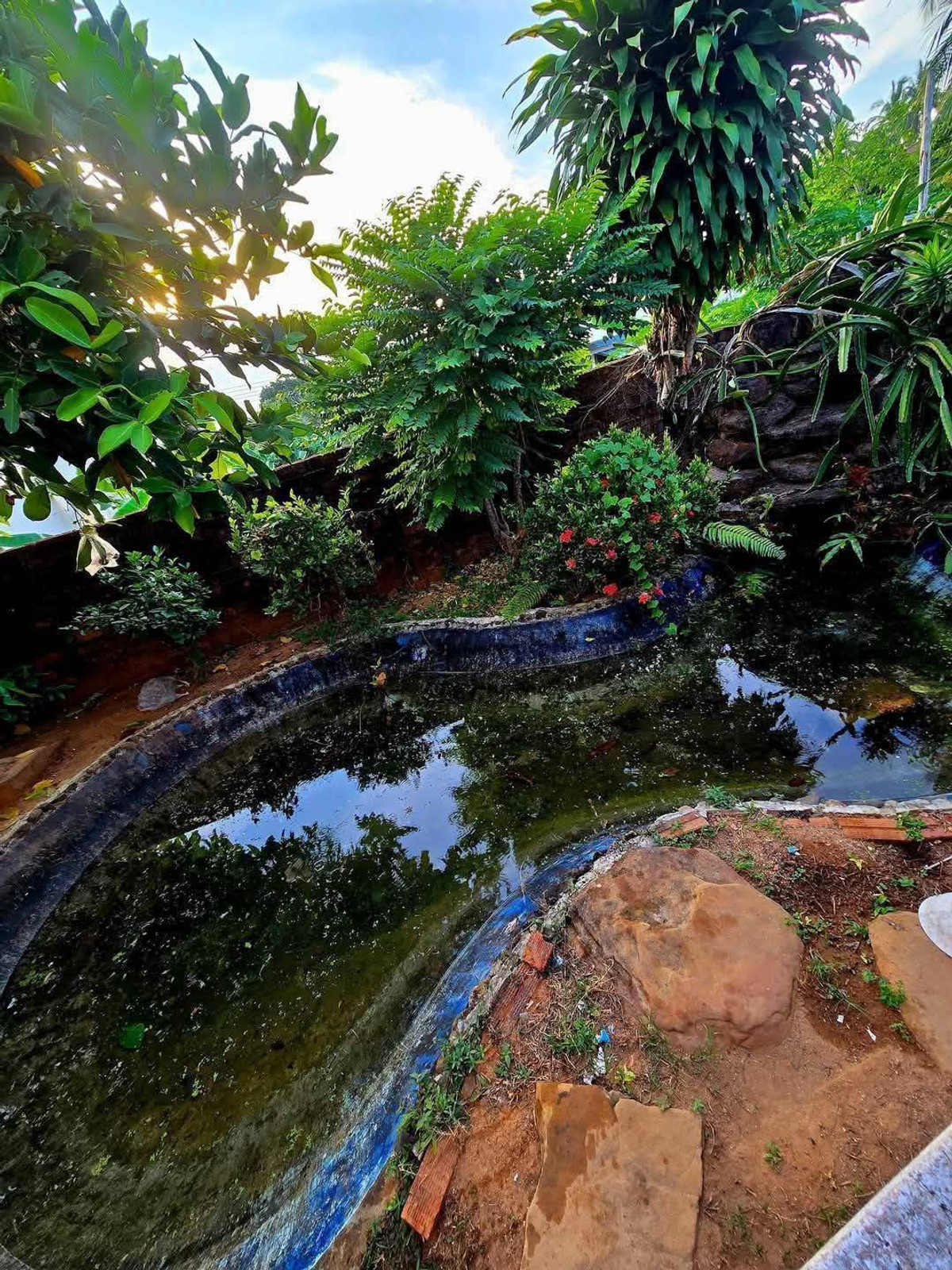 ขายทาวน์เฮ้าส์ชั้นเดียว 1 คูหา ใจกลางเมือง ทำเลดี จังหวัดกระบี่  Loading...