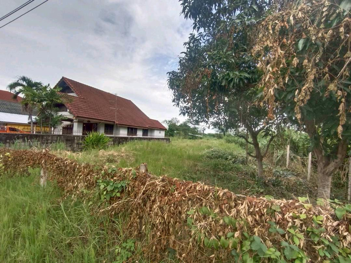 🏡 อยากมีบ้านที่ใกล้เมือง แต่ยังได้ความสงบไหม? Loading...