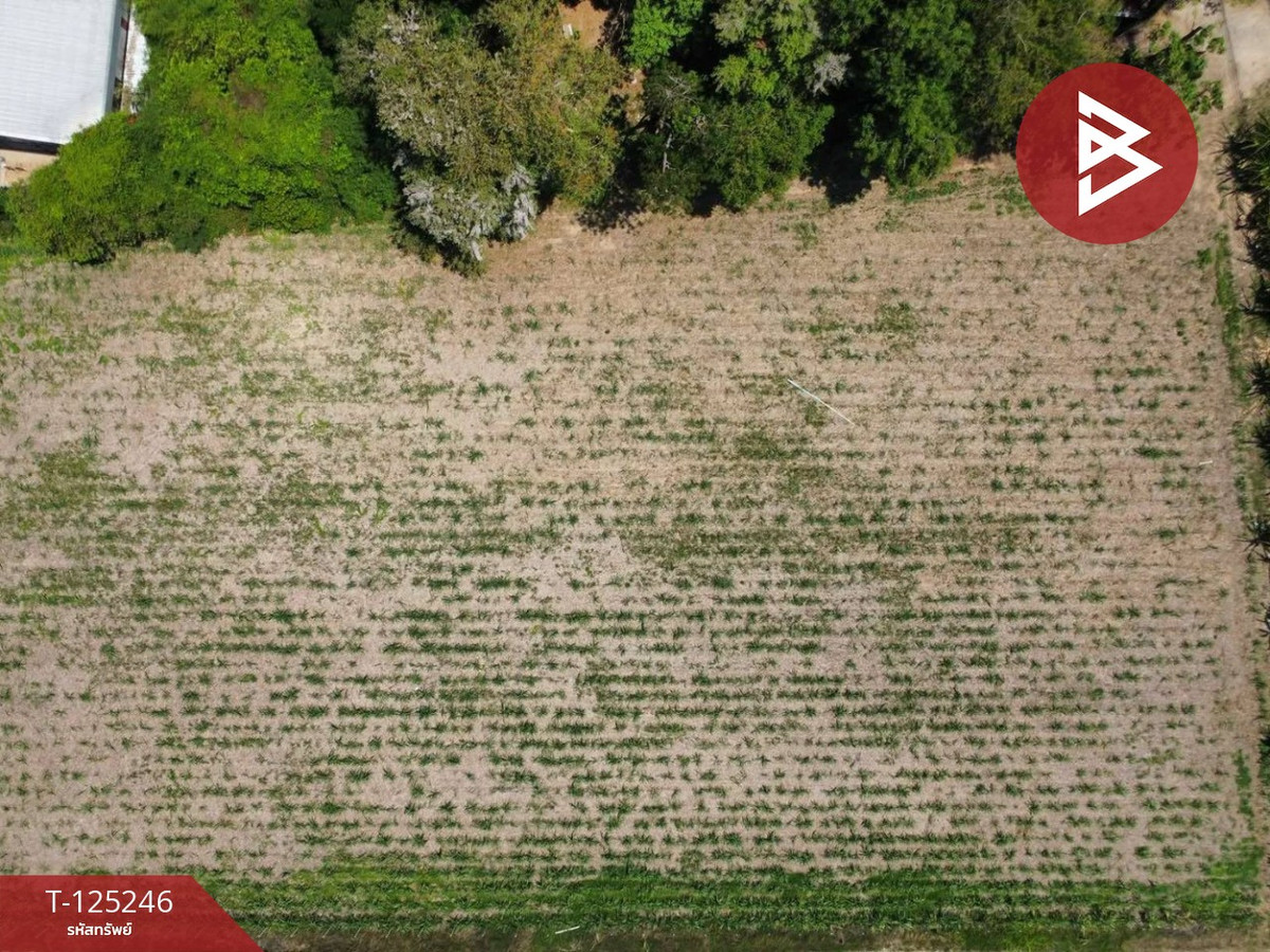 ขายที่ดิน เนื้อที่ 4 ไร่ 1 งาน 45 ตร.วา ท่ามะกา กาญจนบุรี Loading...