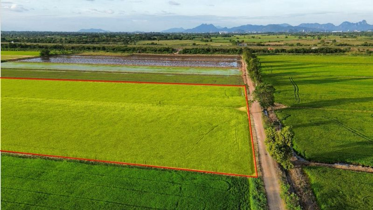 ขายที่ดินสระบุรี : ที่นา 23-3-87 ไร่ แปลงสี่เหลี่ยม ใกล้คลองชลประทาน ตำบลบ้านกลับ อำเภอหนองโดน จังหวัดสระบุรี