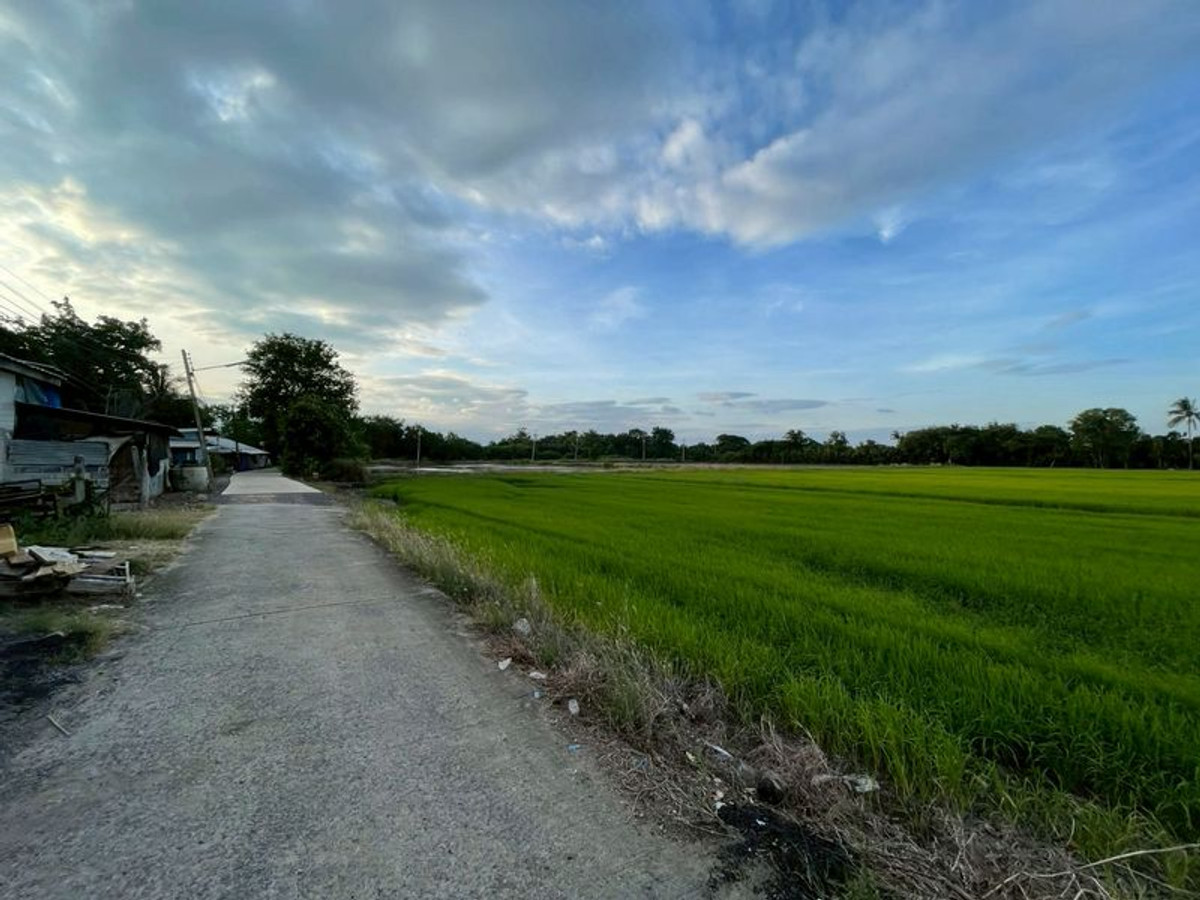 ขายที่ดินสระบุรี : ที่นา 11-0-31 ไร่ แปลงสวย ใกล้ อบต.บ้านกลับ ตำบลบ้านกลับ อำเภอหนองโดน จังหวัดสระบุรี