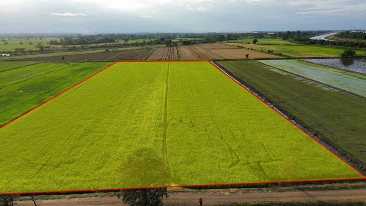 ขายที่ดินสระบุรี : ที่นา 23-3-87 ไร่ แปลงสี่เหลี่ยม ใกล้คลองชลประทาน ตำบลบ้านกลับ อำเภอหนองโดน จังหวัดสระบุรี