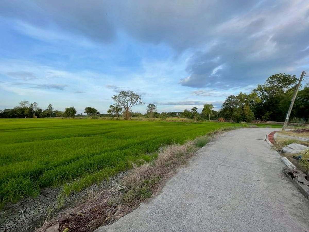 ขายที่ดินสระบุรี : ที่นา 11-0-31 ไร่ แปลงสวย ใกล้ อบต.บ้านกลับ ตำบลบ้านกลับ อำเภอหนองโดน จังหวัดสระบุรี