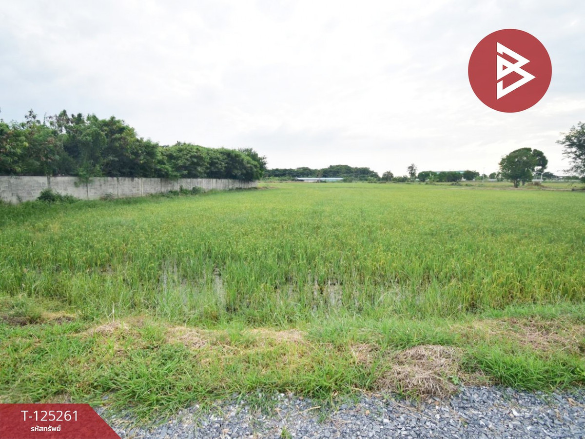 ขายที่ดินนครปฐม : ขายที่ดิน เนื้อที่ 8 ไร่ 41.5 ตร.วา กำแพงแสน นครปฐม