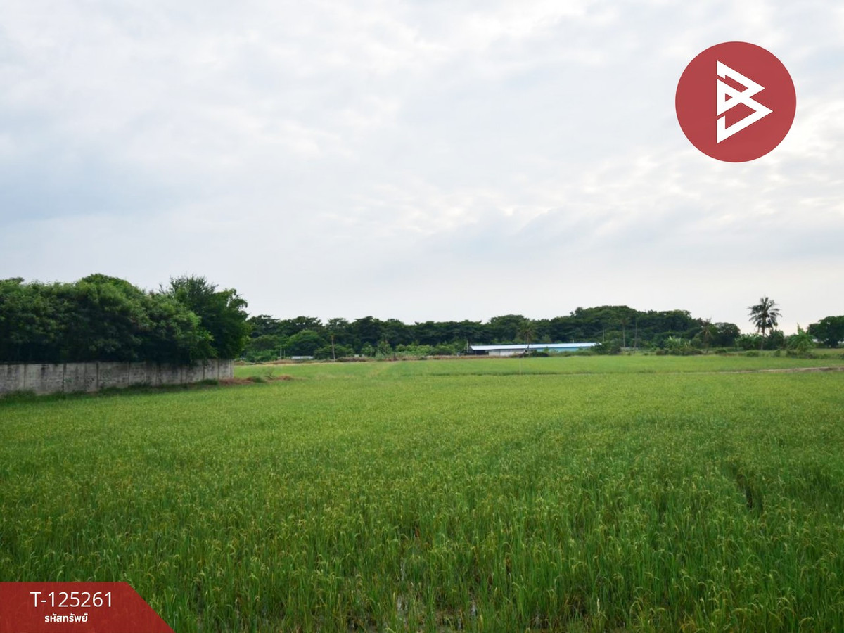 ขายที่ดิน เนื้อที่ 8 ไร่ 41.5 ตร.วา กำแพงแสน นครปฐม Loading...