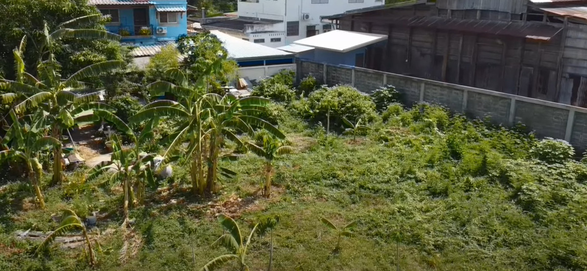 ขายที่ดินสระบุรี : ขายที่ดินติดแม่น้ำป่าสัก แมกไม้ ชายน้ำ แก่งคอย สระบุรี 85.5 ตร.ว. ถมแล้ว ราคามิตรภาพ