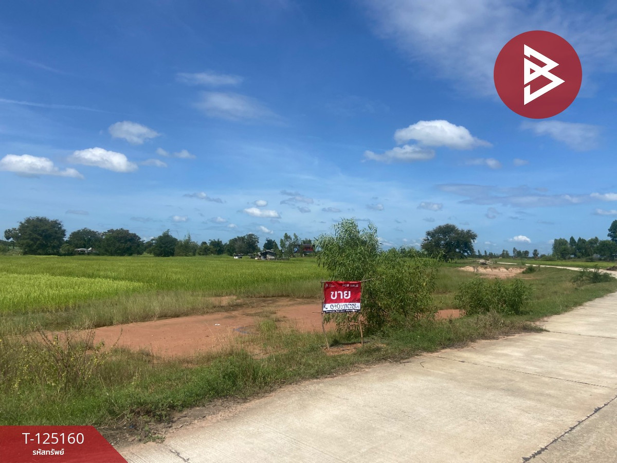 ขายที่ดินขอนแก่น : ขายที่ดิน เนื้อที่ 8 ไร่ บ้านไผ่ ขอนแก่น