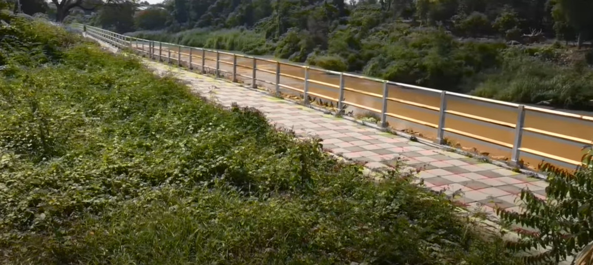 ขายที่ดินสระบุรี : ขายที่ดินติดแม่น้ำป่าสัก แมกไม้ ชายน้ำ แก่งคอย สระบุรี 85.5 ตร.ว. ถมแล้ว ราคามิตรภาพ