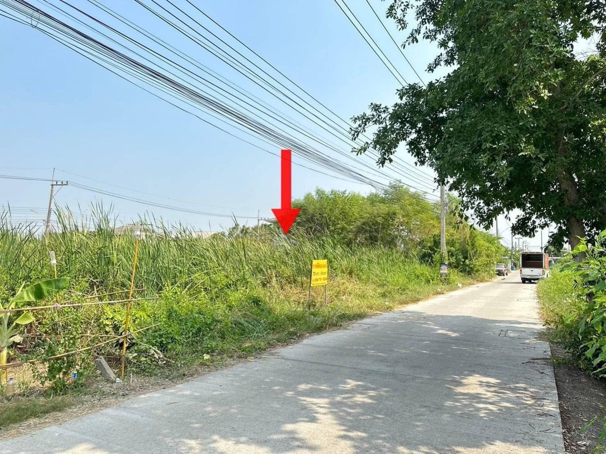 Land for sale at the beginning of Soi Bongkot 43, Liap Khlong 2 Road, Khlong Luang Subdistrict, Khlong Luang District, Pathum Thani Province. Loading...