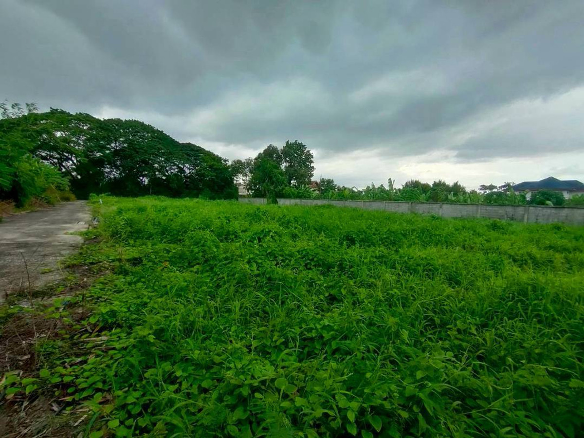 Cheap land for sale, 1 rai, Sai 1, Bang Ramat 15, Kanchanaphisek Road, width 26 m. x length 62 m. Loading...