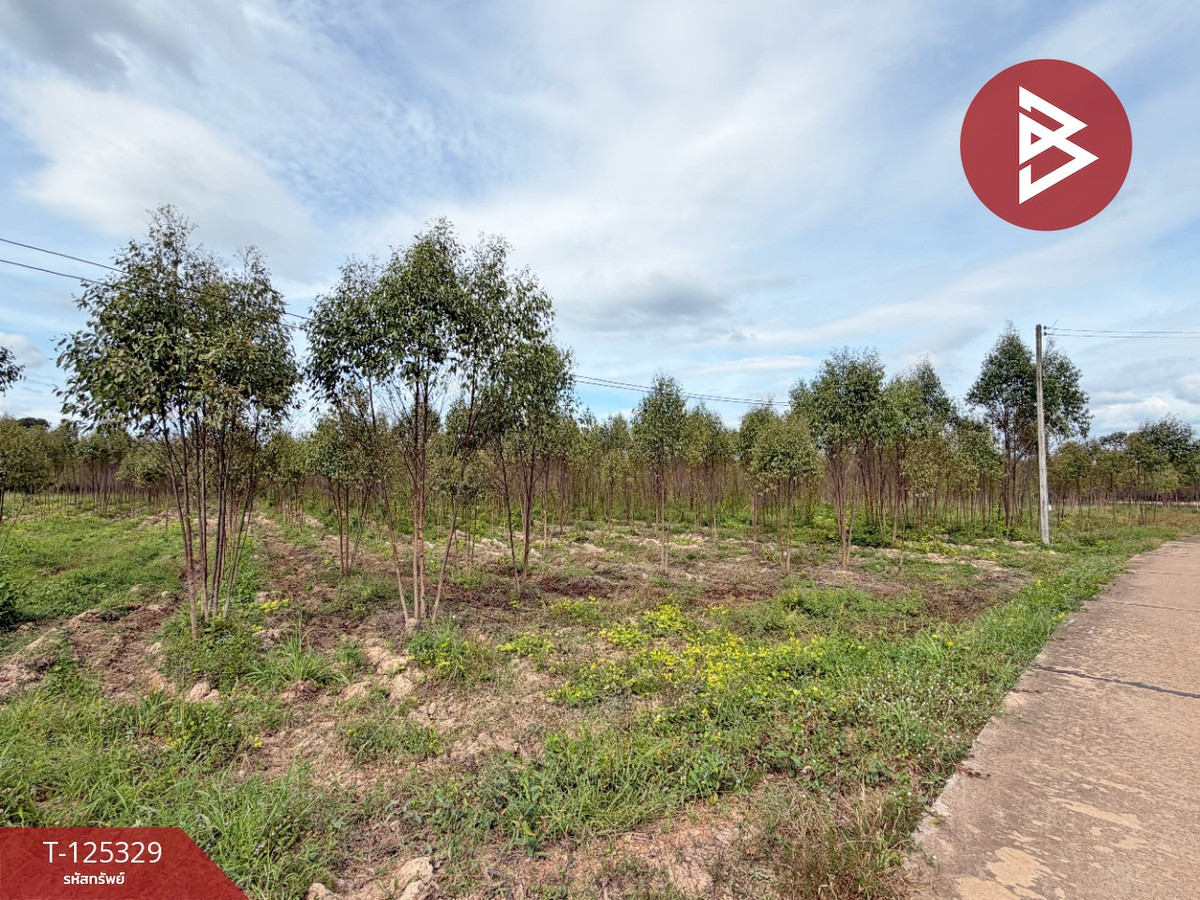 ขายที่ดินปราจีนบุรี : ขายที่ดิน เนื้อที่ 4 ไร่ 3 งาน 78.3 ตารางวา กบินทร์บุรี ปราจีนบุรี