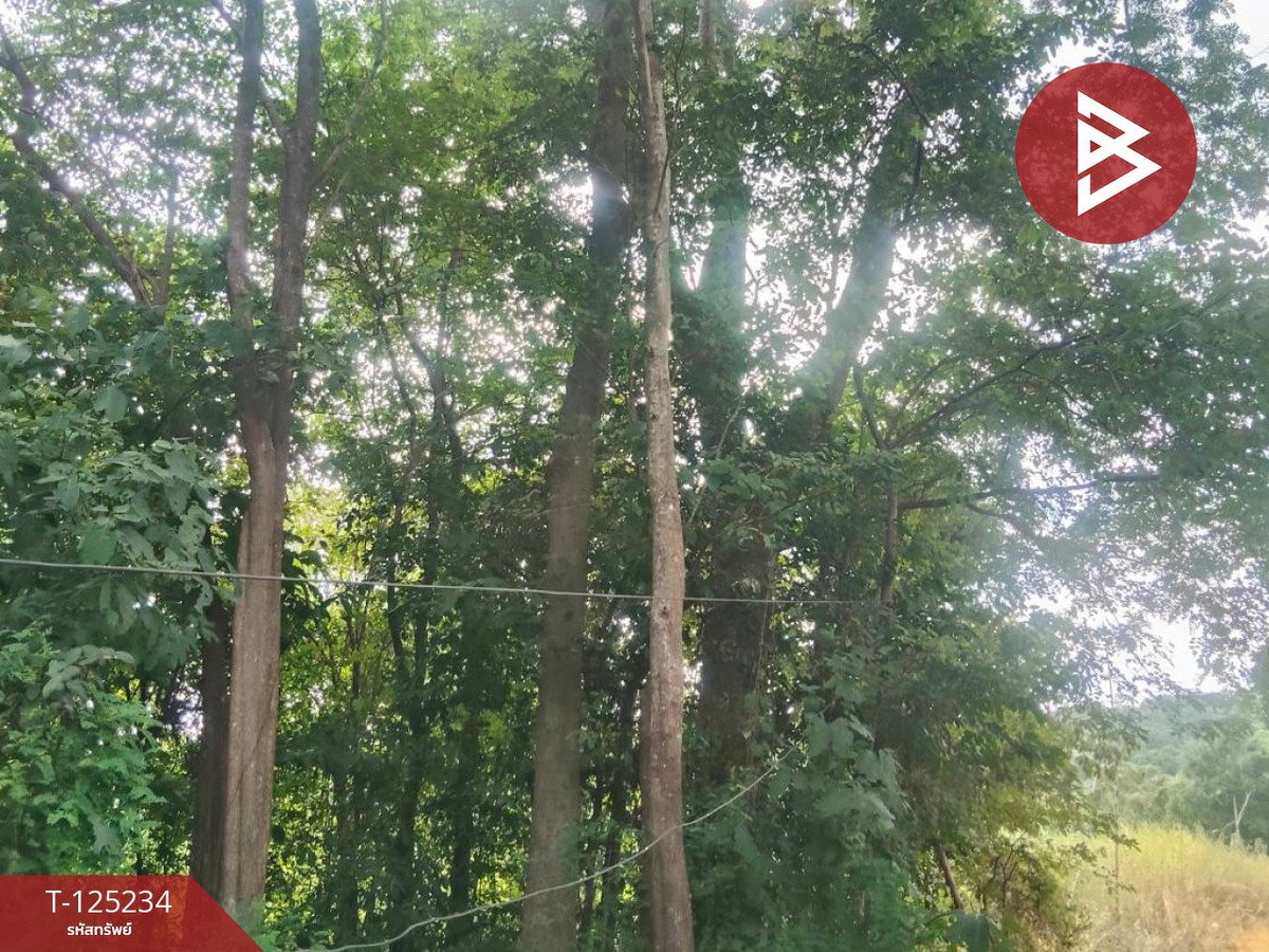 ขายที่ดิน เนื้อที่ 14 ไร่ 1 งาน 74 ตร.วา หันคา ชัยนาท Loading...