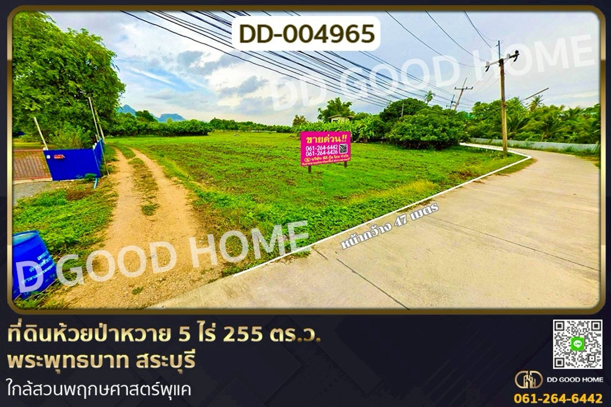 ขายที่ดินสระบุรี : DD-004965 ที่ดินห้วยป่าหวาย 5 ไร่ 255 ตร.ว.พระพุทธบาท สระบุรี ใกล้สวนพฤกษศาสตร์พุแค
