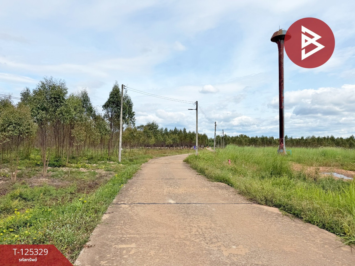 Land for sale, area 4 rai 3 ngan 78.3 square wah, Kabin Buri, Prachin Buri Loading...