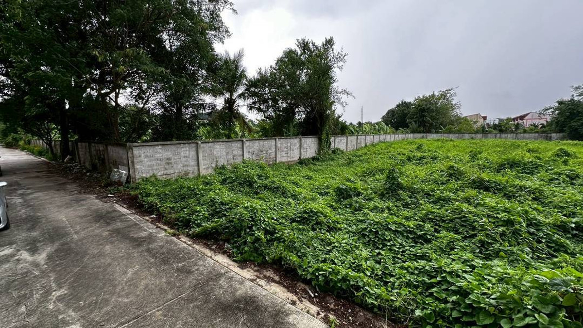 Cheap land for sale, 1 rai, Sai 1, Bang Ramat 15, Kanchanaphisek Road, width 26 m. x length 62 m. Loading...