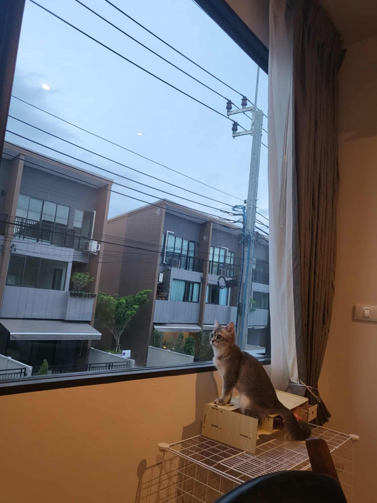 ให้เช่าทาวน์โฮมอ่อนนุช อุดมสุข : ทาวน์เฮ้าส์ให้เช่า ✨ Baan Klang Mueng Sukhumvit-Onnut ✨ 3 ห้องนอน 3 ห้องน้ำ เฟอร์นิเจอร์ และ เครื่องใช้ไฟฟ้าครบ 