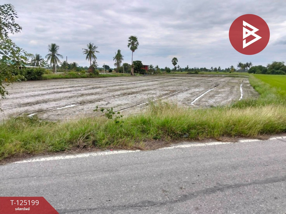 ขายที่ดินอ่างทอง : ขายที่ดิน เนื้อที่ 6 ไร่ 2 งาน 32 ตร.วา สามโก้ อ่างทอง