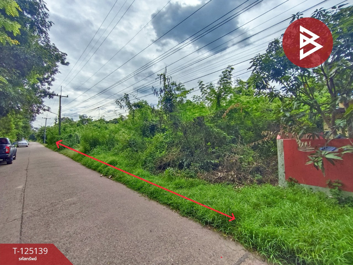 ขายที่ดิน เนื้อที่ 3 งาน 97.6 ตร.วา มีชัย หนองคาย Loading...
