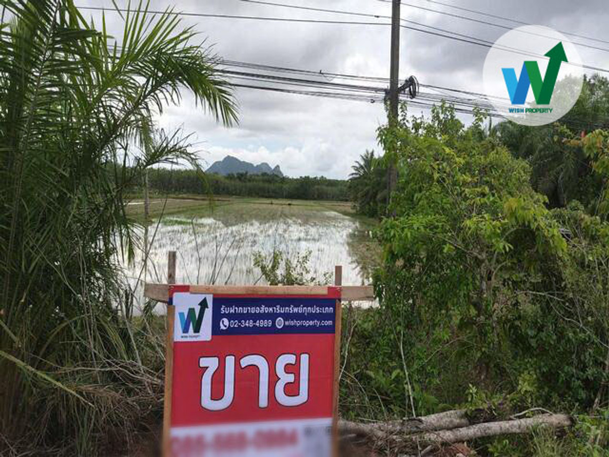 ขายที่ดินพัทลุง : ขายที่ดิน ควนขนุน พัทลุง เดินทางไปในเมืองพัทลุง 27 กิโลเมตร