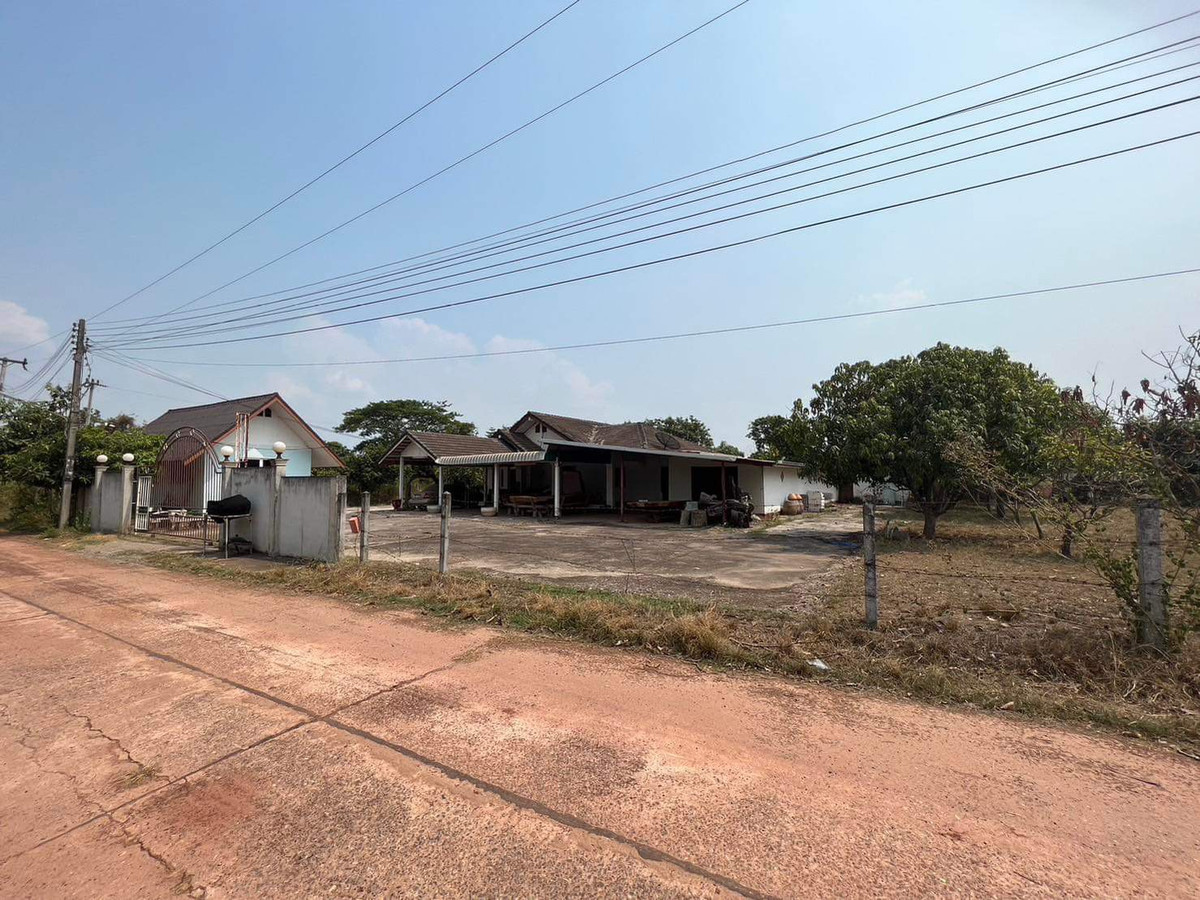 ขายที่ดินอุดรธานี : ขายด่วน!! ที่ดินพร้อมสิ่งปลูกสร้าง ตั้งอยู่ในเขตเทศบาลกุดจับ ทำเลดี ติดถนนเทศบาล เหมาะสำหรับสร้างที่พักอาศัย