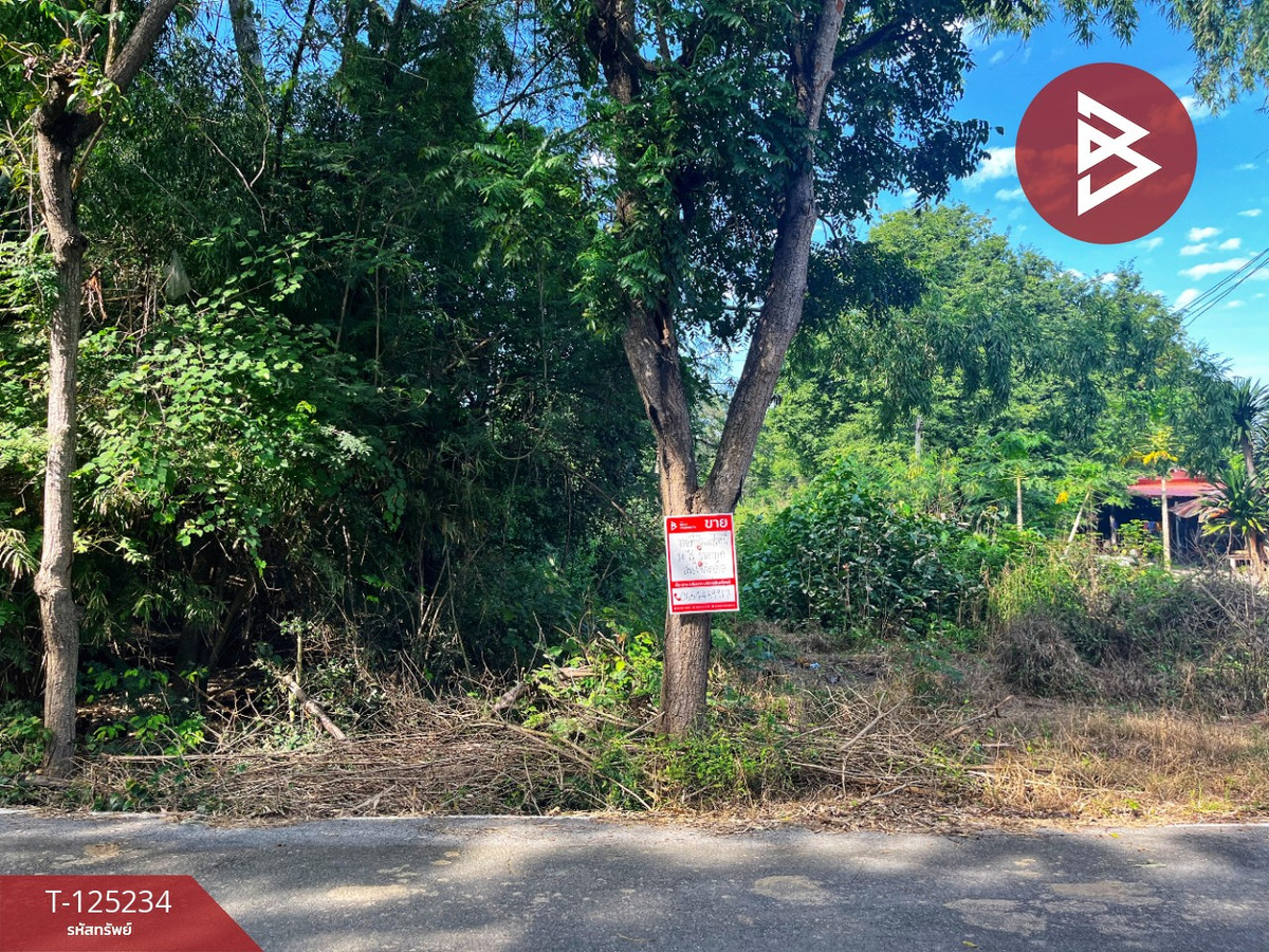 For SaleLandChaiyaphum : Land for sale, area 14 rai 1 ngan 74 sq m, Hankha, Chainat.