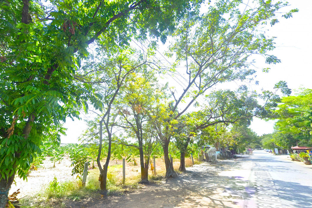 Land for sale, Phutthamonthon Sai 2, Soi 27, size 936 sqw, near Phutthamonthon Sai 2 Road, just 250 m. DD Loading...