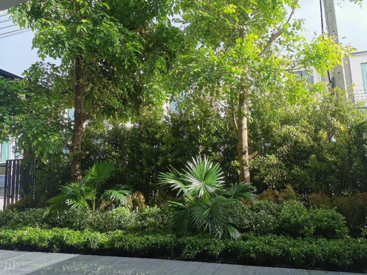 ทาวน์โฮม 3 ชั้น พร้อมเฟอร์นิเจอร์ ทำเลดี ให้เช่า ย่านบางนา-บางแก้ว ใกล้โรงพยาบาลสินแพทย์ เทพารักษ์ เพียง 3.3 กม. Loading...