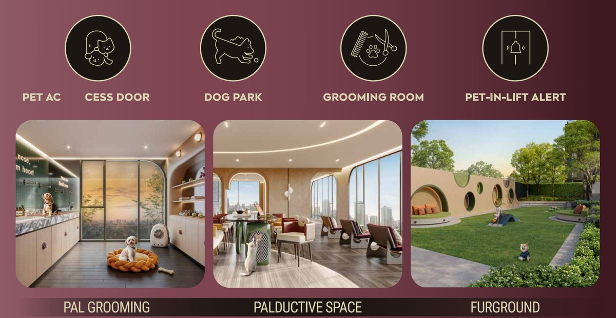 For SaleCondoSapankwai,Jatujak : Pets allowed I Life JJ Interchange Pet Pal