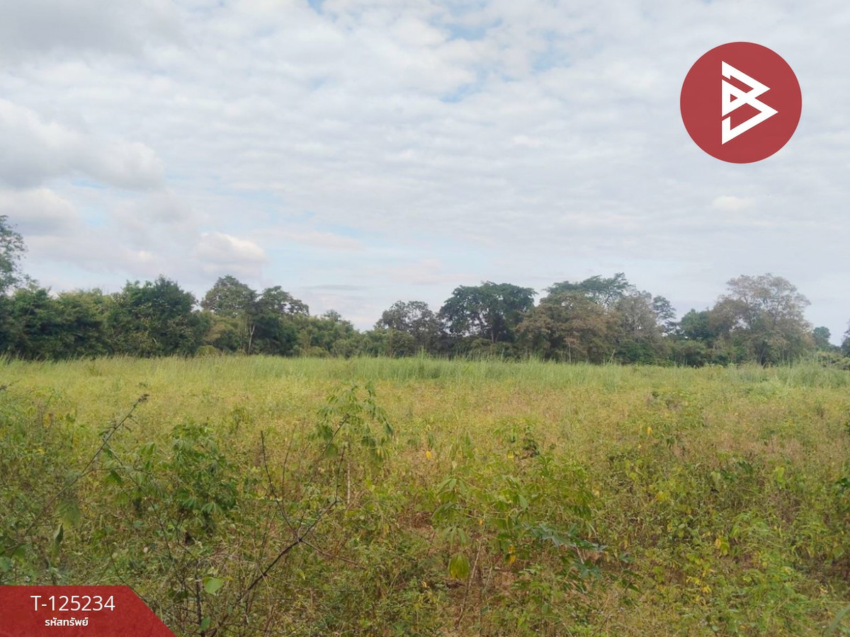 ขายที่ดินชัยภูมิ : ขายที่ดิน เนื้อที่ 14 ไร่ 1 งาน 74 ตร.วา หันคา ชัยนาท